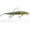 MEGABASS Vision 110 FW