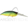 Pesciolino MEGABASS IxI Shad TX
