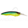 Poisson nageur MEGABASS Live X model 1