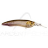 Pesce nuotatore MEGABASS Live X model 1