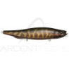 Esca di superficie MEGABASS Megadog X