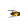 Esca galleggiante MEGABASS Nano siglett