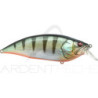 Crankbait MEGABASS Big M 2.0