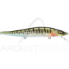MEGABASS Vision 110 FW