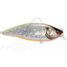 Pesce nuotatore MEGABASS Konosirus shad