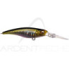 Pesce nageur MEGABASS Shading X R 62
