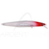 Pesce nageur MEGABASS Marine gang cookai 120 F
