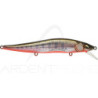MEGABASS Vision 110 FW