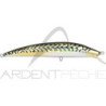 Hard lure TACKLE HOUSE K Ten blue ocean BKS 175