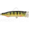 Swimbait TACKLE HOUSE Feed popper 70