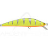 Pesciolino TACKLE HOUSE K Ten blue ocean BKS 115