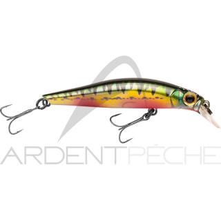 Minnow JACKSON Artist 65 HW