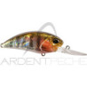 Pesciolino DUO Realis crank 65 11A