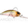 Pesciolino DUO Realis crank 65 11A