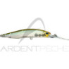 Hard bait DUO Realis Jerkbait 100 DR