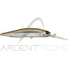 Hard bait DUO Realis Jerkbait 100 DR