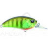 Pesciolino DUO Realis crank M62 5A