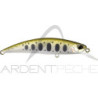 Pesce nageur DUO Spearhead ryuki 70 S