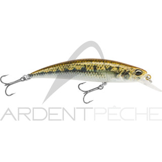 Pesce nageur DUO Spearhead ryuki 70 S