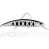 Pesce nageur DUO Spearhead ryuki 70 S