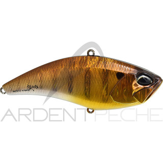 Pesciolino DUO Realis Apex Vibe 100