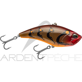 Poisson nageur DUO Realis apex vibe 100