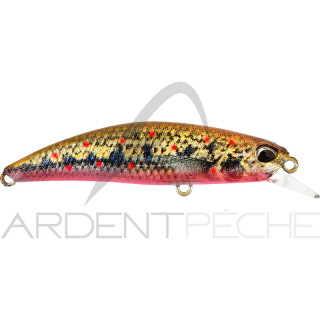 Pesce nuotatore DUO Spearhead ryuki 60 S