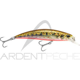 Pesce nageur DUO Spearhead ryuki 70 S