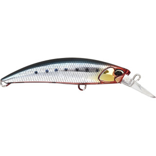 Pesciolino DUO Rough Trail Blazin 85 S