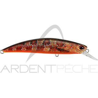 Pesce nageur DUO Spearhead ryuki 70 S