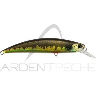 Pesce nageur DUO Spearhead ryuki 70 S