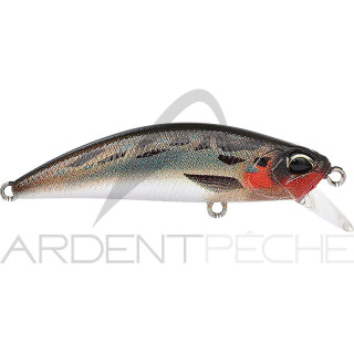 Minnow DUO Spearhead Ryuki 50 S