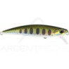 Poisson nageur DUO Spearhead ryuki 71 S