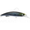 Pesce nageur DUO Rough Trail Blazin 70 S