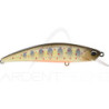Pesce nuotatore DUO Spearhead Ryuki 70 F