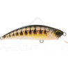 Pesce artificiale DUO Spearhead Ryuki 50 F