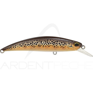 Pesce nageur DUO Spearhead ryuki 70 S