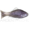 Soft bait VAGABOND Persimmon soft 95