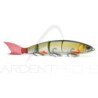 Balam 300F - the articulated trophy swimbait - Ardent Pêche