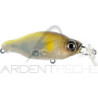 Poisson nageur GAN CRAFT Bacra SR