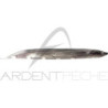 Soft bait FISH ARROW Flash J Shirasu 3