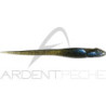 Soft bait MEGABASS Hazedong 5