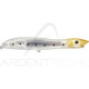 Pesce nageur XORUS Patchinko 125
