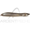 Pesce nuotatore XORUS Patchinko2