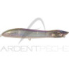 Pesce nuotatore XORUS Patchinko2