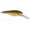 Pesce nuotante CWC Buster II deep crankbait