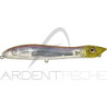 Pesce nuotatore XORUS Patchinko2