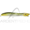 Pesce nageur XORUS Patchinko 125
