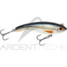 Ghost Buster di CWC - un jerkbait atipico - Ardent Tecniche di pesca