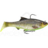 Soft bait SAVAGE GEAR 3D Roach RTF FS 15cm
